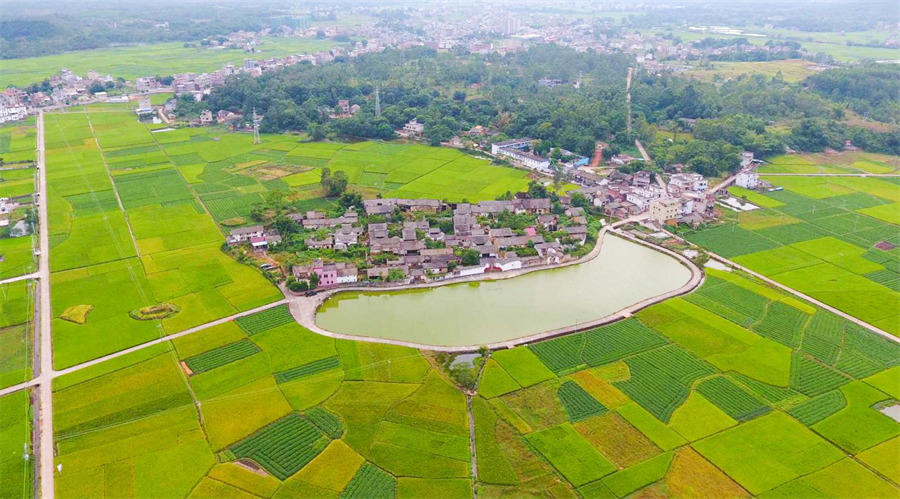 文化和旅游特色村-大湖鎮(zhèn)湖東村