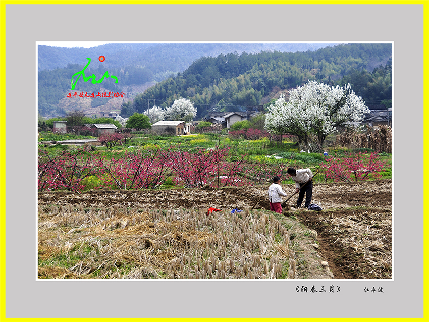 《陽(yáng)春三月》江永波